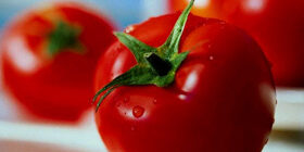 Концентрированные томатные продукты