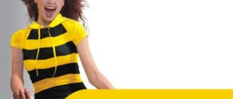 Интернет на Билайне: подключение и настройка