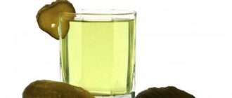 Как быстро вылечить похмелье после Нового года