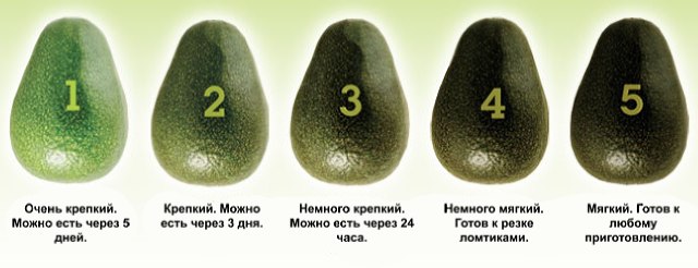 kak-est-avokado-pravilno-2