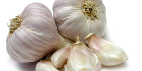 Как правильно хранить чеснок зимой в квартире, в погребе
