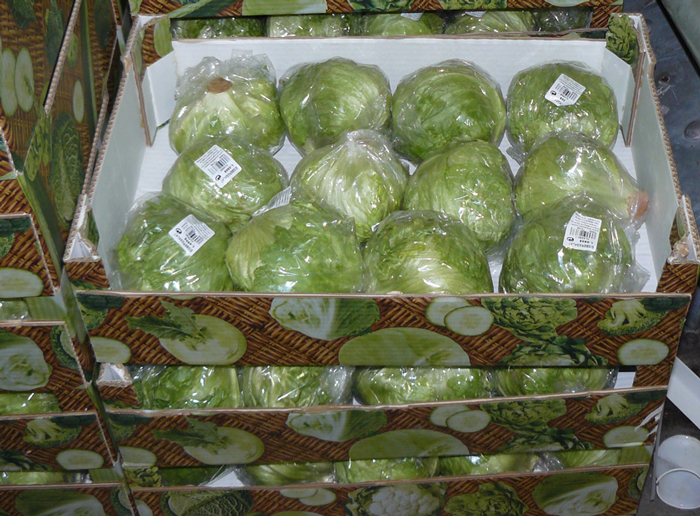 Как правильно хранить капусту дома в погребе