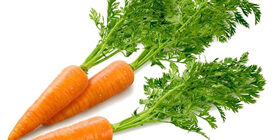 Как хранить морковь зимой в погребе, в квартире