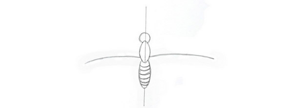 Как нарисовать бабочку карандашом: поэтапно