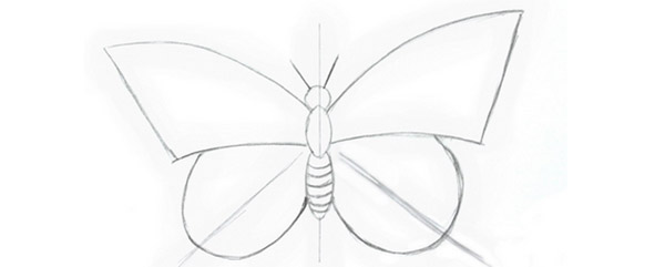 Как нарисовать бабочку карандашом: поэтапно