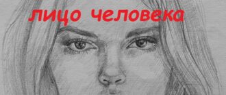 Как поэтапно нарисовать лицо человека карандашом