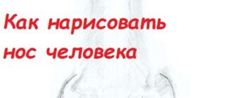 Как красиво нарисовать нос человека карандашом