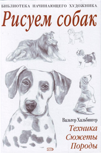 Как правильно нарисовать собаку поэтапно карандашом