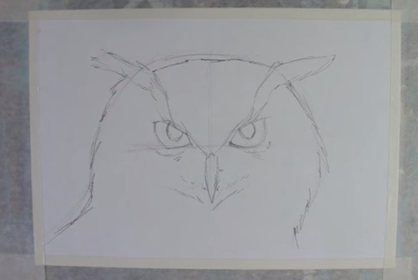 Как нарисовать сову карандашом поэтапно