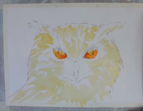 Как нарисовать сову карандашом поэтапно