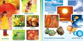 Как понять разницу между живой и неживой природой?