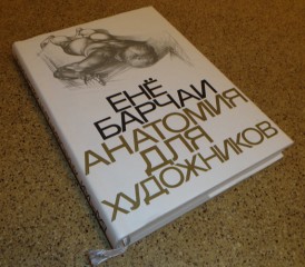 Как рисовать человека? Как научиться рисовать человека карандашом, поэтапно?