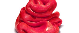 Как сделать лизуна в домашних условиях