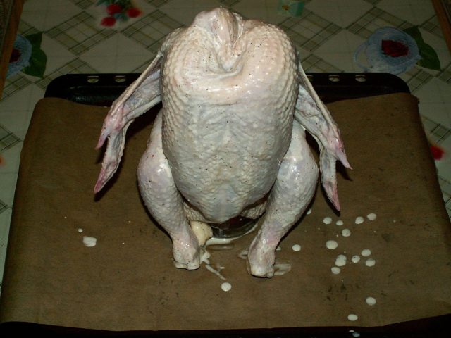 kak-zapech-kuricu-v-duxovke-celikom-18