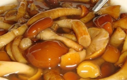 Маринованные опята быстрого приготовления – рецепт заготовки в домашних условиях Маринованные опята быстрого приготовления – рецепт заготовки в домашних условиях