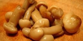 Как замариновать опята на зиму – фото рецепты маринования