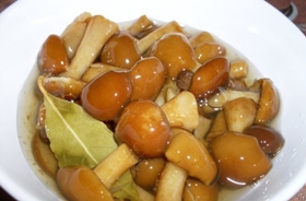 Маринованные опята быстрого приготовления – рецепт заготовки в домашних условиях Маринованные опята быстрого приготовления – рецепт заготовки в домашних условиях