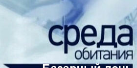 Среда обитания. Базарный день фото