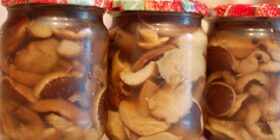 Заготовки из маслят на зиму – фото рецепты, что приготовить