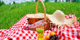 Как провести пикник