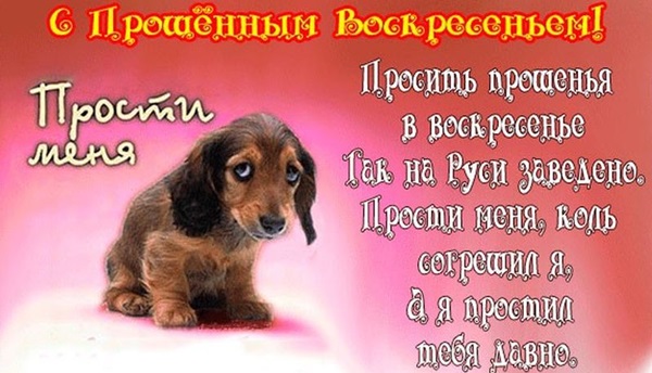 Открытки с Прощеным воскресеньем и Масленицей 2018 – красивые с надписями и поздравлениями