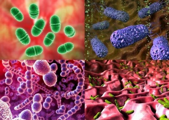 Пищевое отравление: лечение взрослых и детей