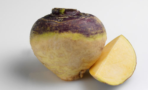 Выращивание брюквы