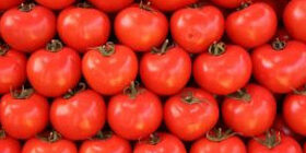 Дефекты и брак томатного сока