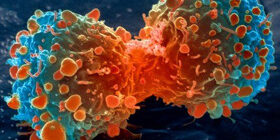 Причины деления злокачественных клеток