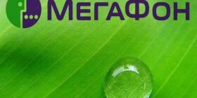 Распечатка звонков Мегафон