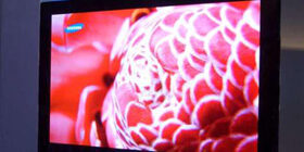 Телевизоры будущего