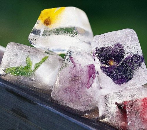 Травы-помощницы для купания новорожденных Травы-помощницы для купания новорожденных