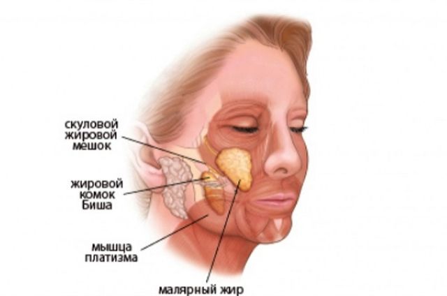 udalenie-komochkov-bisha-foto-2