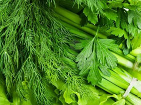 Как правильно хранить укроп и петрушку на зиму фото ukrop-i-petrushka