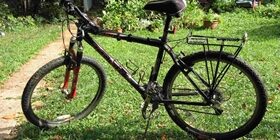 Велосипед или ролики: за и против