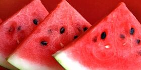 Когда созревают арбузы в России