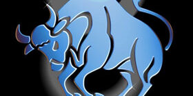 Интерьер-для-тельца