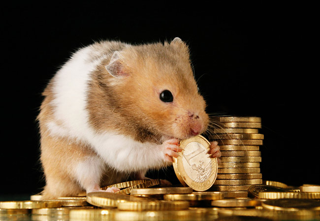 Как научиться экономить