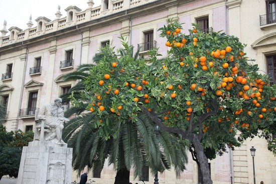 ФОТО свадебные-34