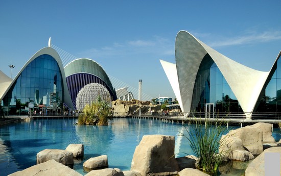 ФОТО свадебные-37