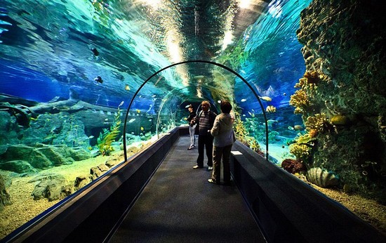 ФОТО свадебные-50