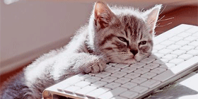 Чем заняться когда скучно?